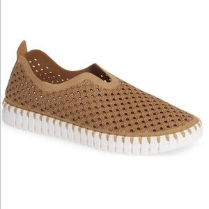 Ilse Jacobson Tulip Shoe